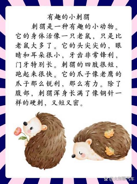 刺猬代表什么生肖