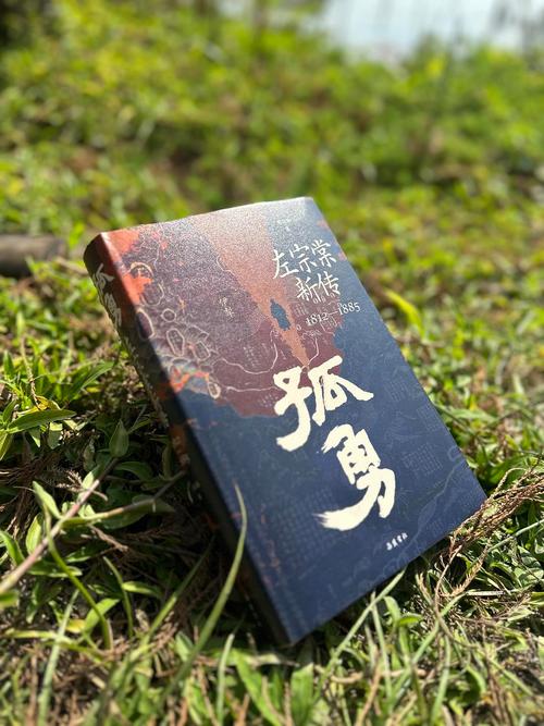 孤山树下著
