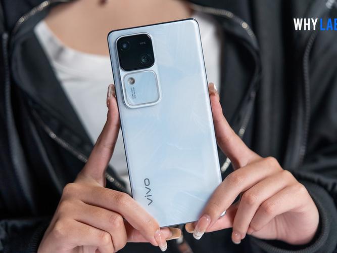 vivos18宣传海报是谁