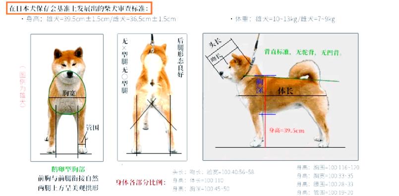 电子体重秤可以调轻吗