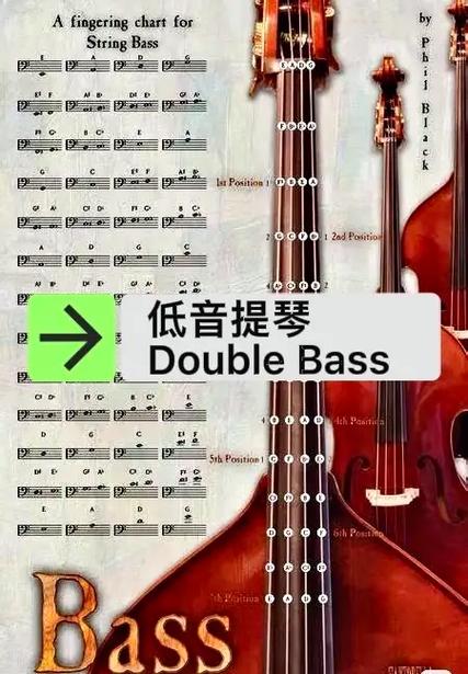 大提琴把位图和指法