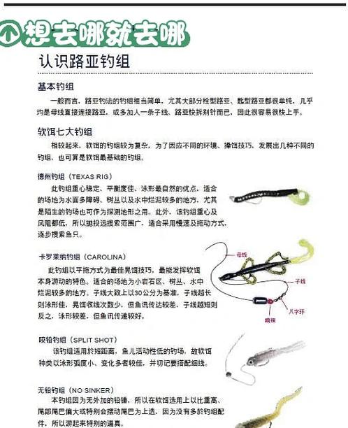 鱼线会不会过期