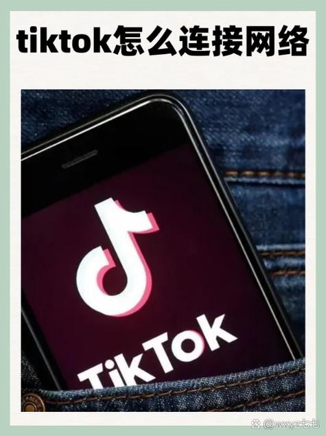 国内手机怎么用tiktok
