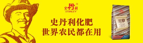 史丹利广告2008