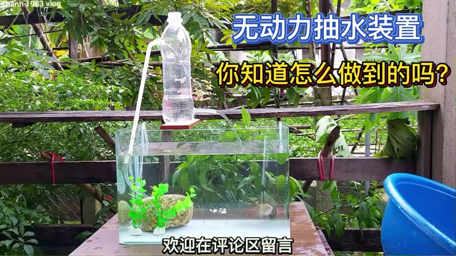 鱼缸无电循环水方法