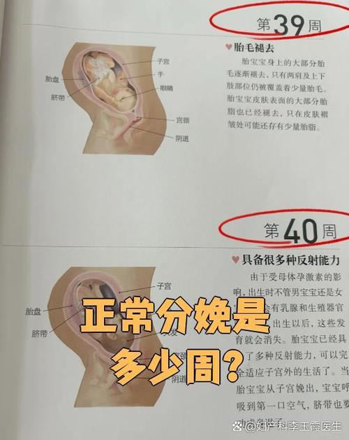孕妇最晚多少周分娩
