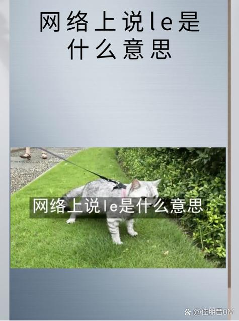 LE代表科目的缩写