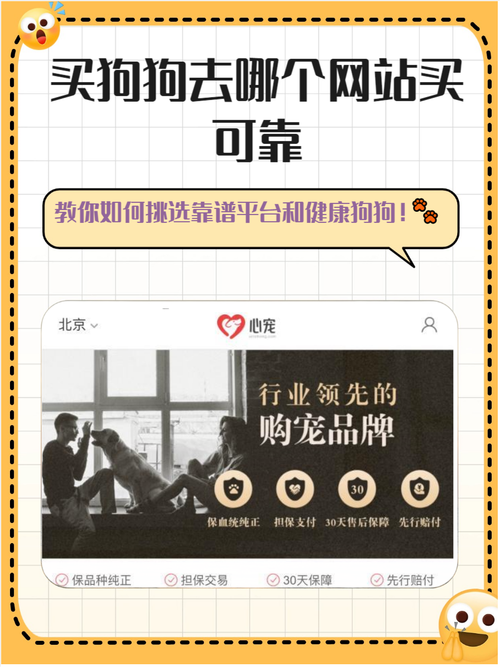什么平台买狗安全可靠
