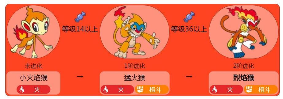 小火焰猴进化