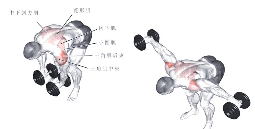 飞鸟是什么健身动作