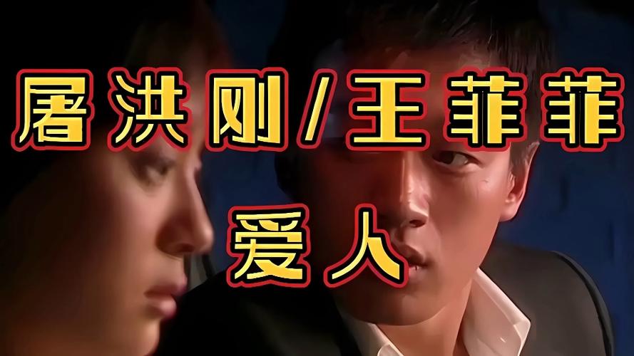 爱人普通话缩略图