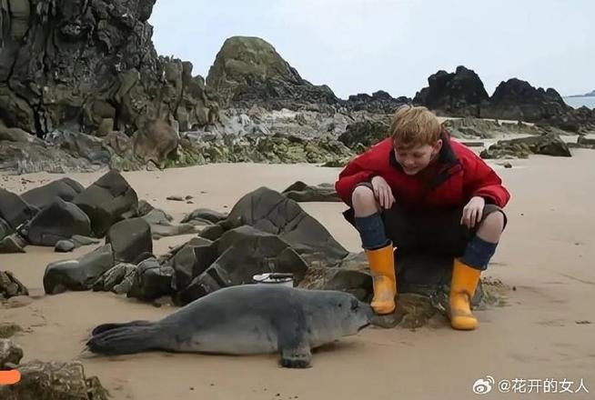 喜欢海豹的人的性格缩略图