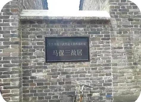 马保国毕业于哪所学校缩略图