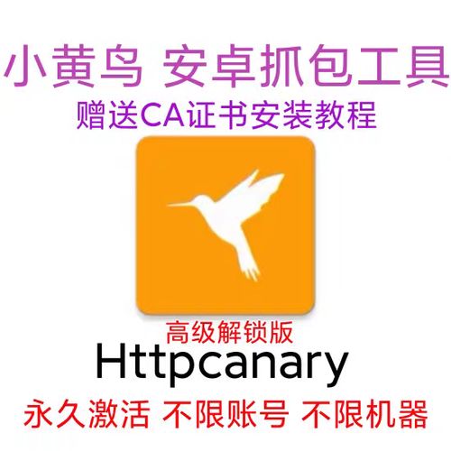小黄鸟抓包2023最新版