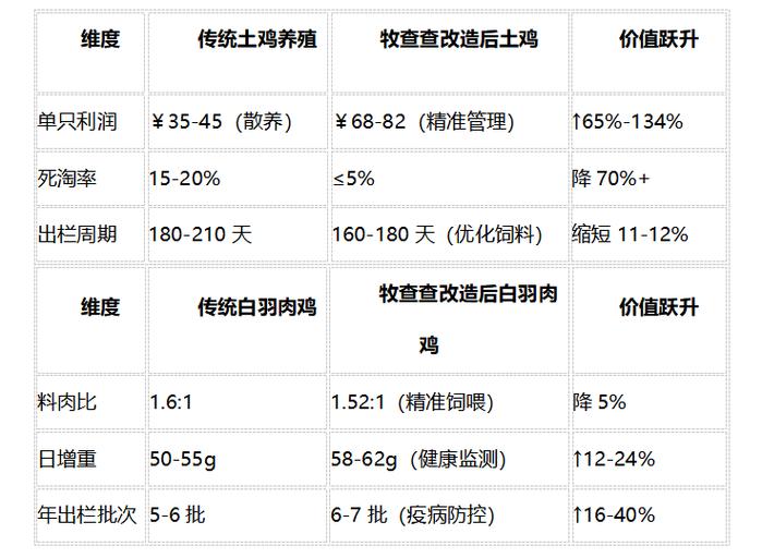 养土鸡成本利润计算