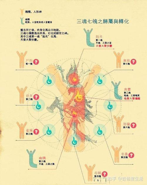 三魂七魄详细讲解
