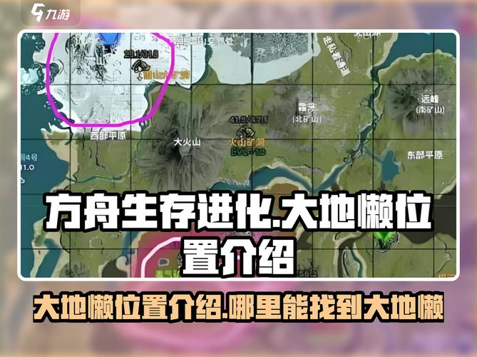 木瓜奇迹困顿在哪里