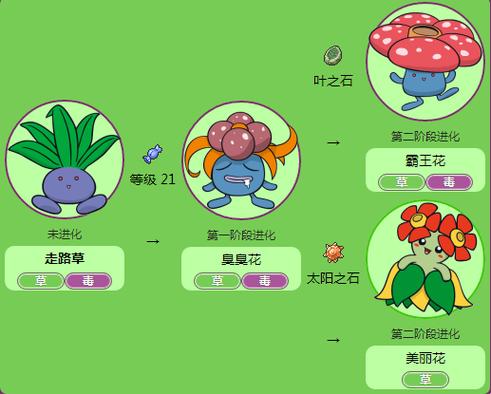 口袋妖怪go