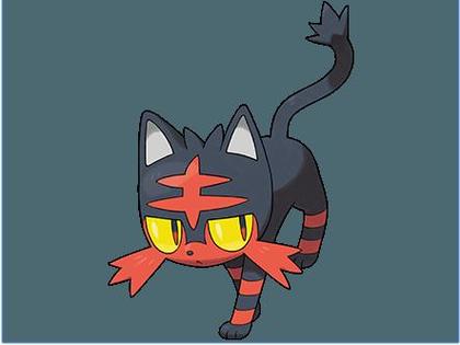 精灵宝可梦猫