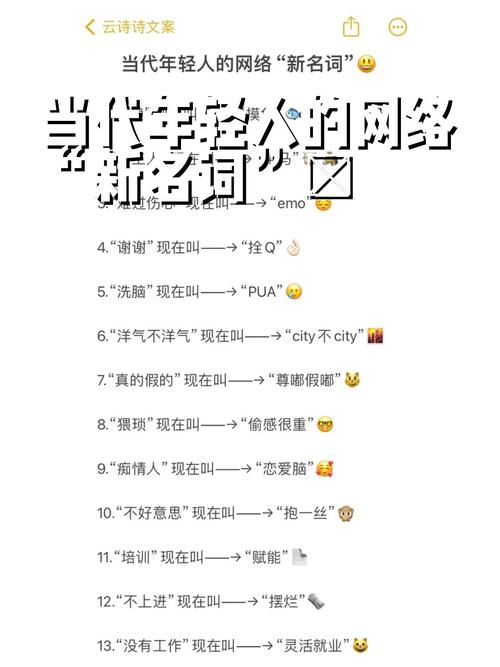bsd网络用语暗示什么
