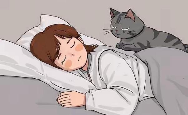 猫咪吸引主人叫的原因
