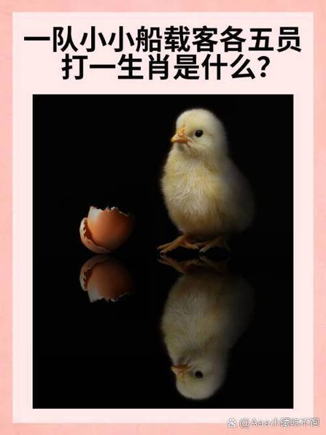 船永不下水最正确生肖
