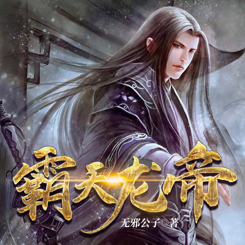 霸天龙帝txt掌中宝