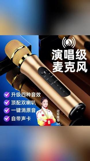 话筒直接连音响能唱歌吗游戏截图