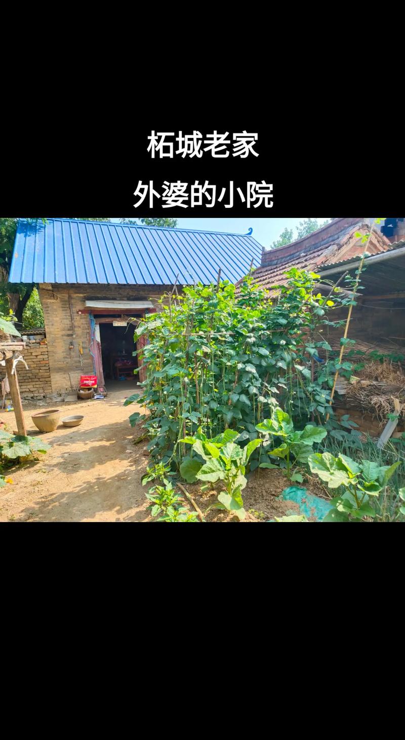 外婆的农家小院兑换码