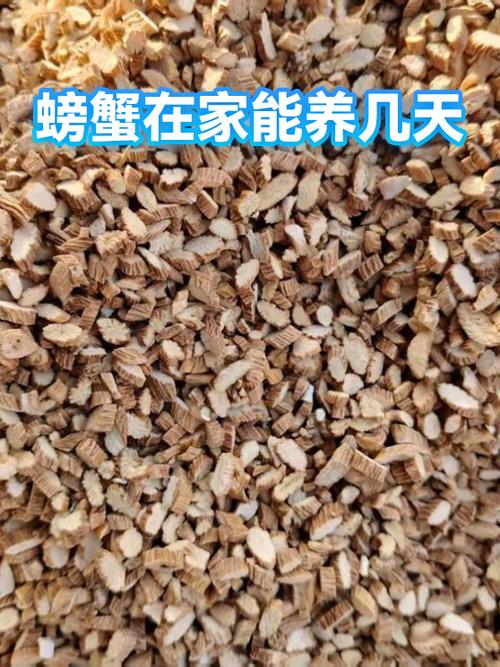 螃蟹在家里怎么养几天