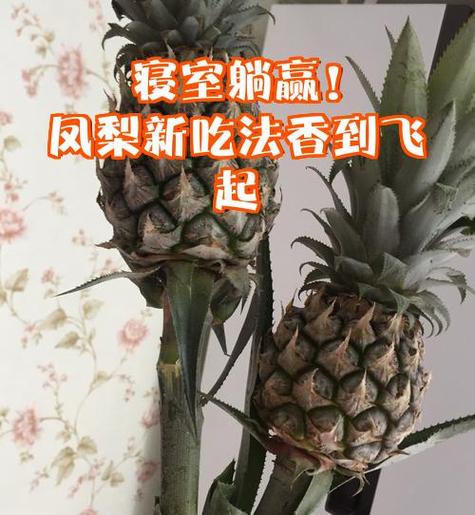 一个西瓜和两个菠萝谁重谁轻