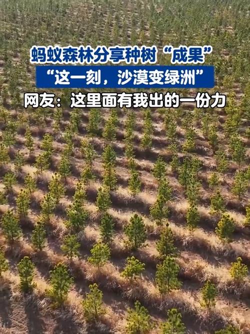 蚂蚁森林极速浇水
