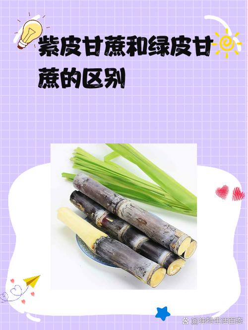 甘蔗的营养及功效