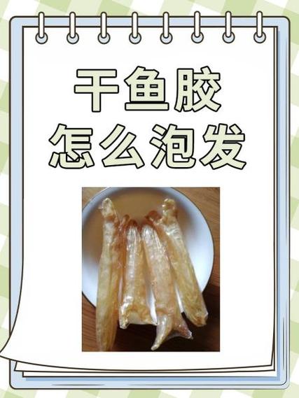 鱼胶怎么泡发最好