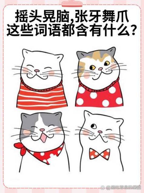 形容有疑问的词语
