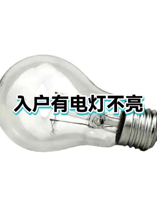 家里灯全部不亮但是有电