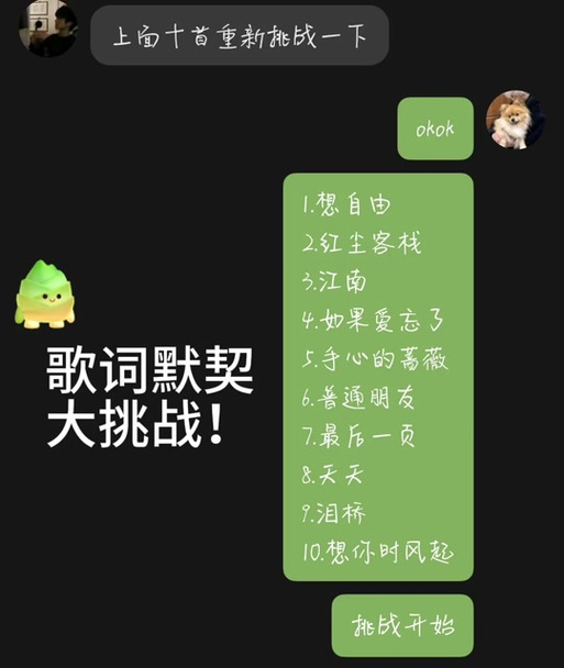 猜的歌词是什么意思