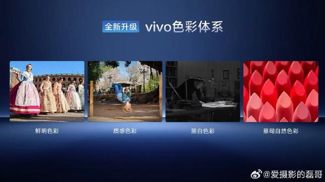 vivo手机屏幕色彩专业模式