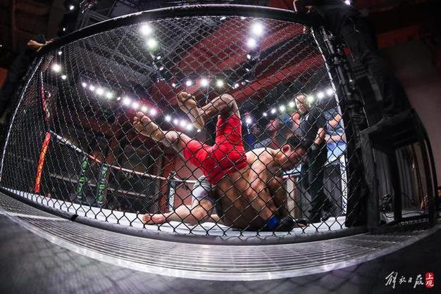 ufc正赛完整视频游戏截图
