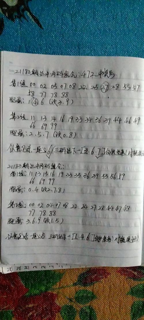 万能码必出2个