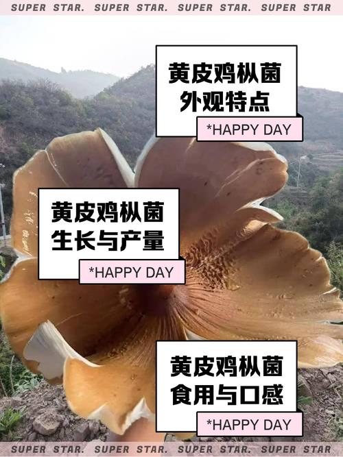 饥荒联机版蘑菇皮代码截图