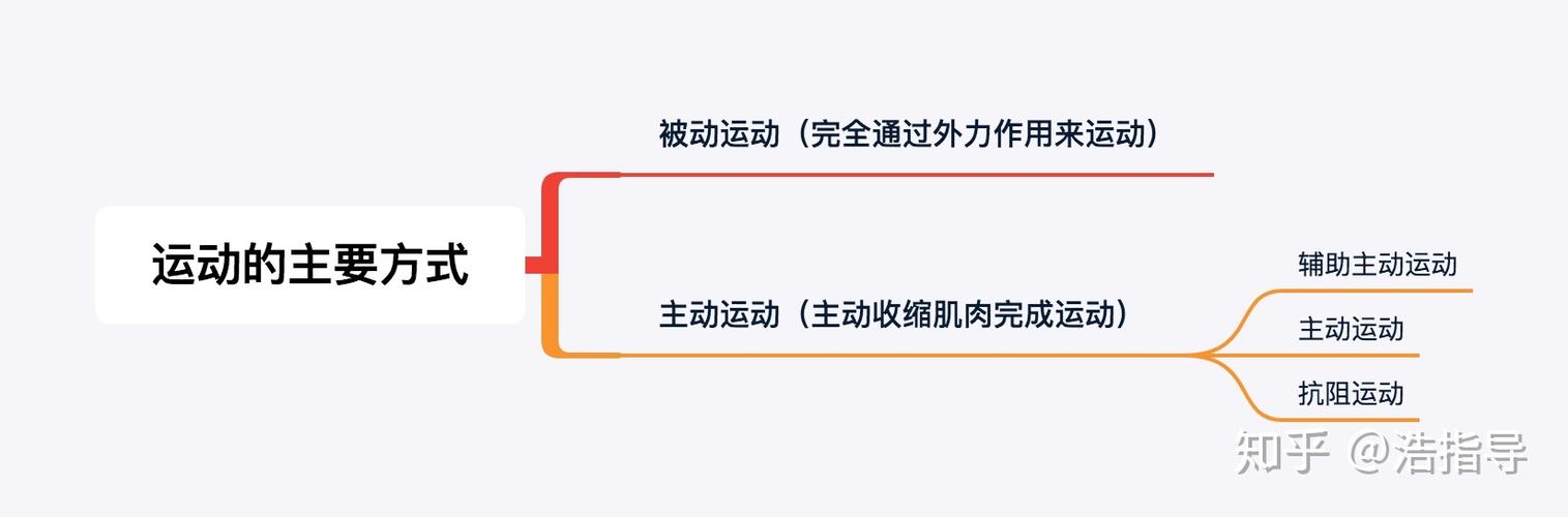 被动运动和主动运动的区别