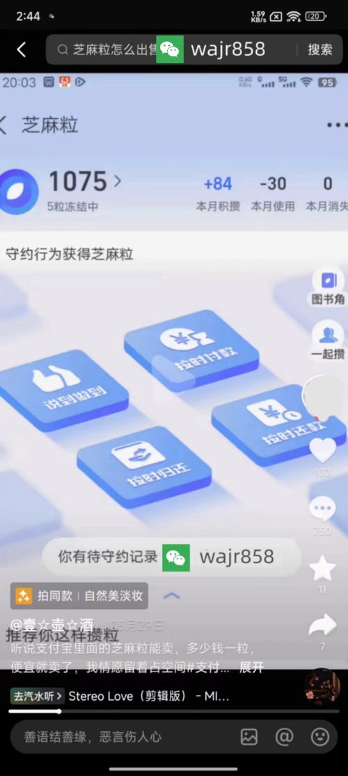 支付宝内置芝麻糊