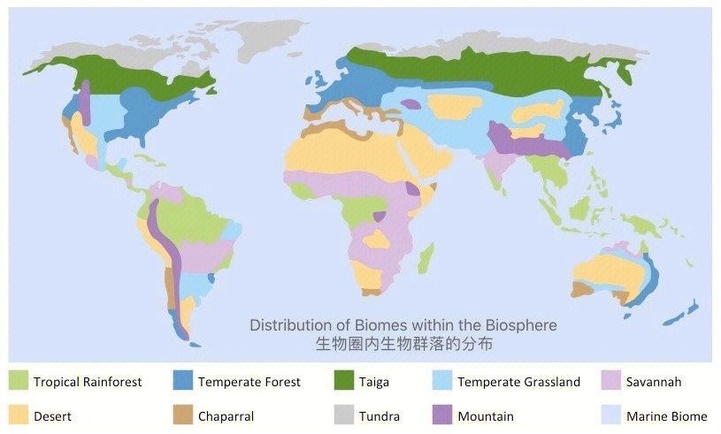 生物群系与地形的关系