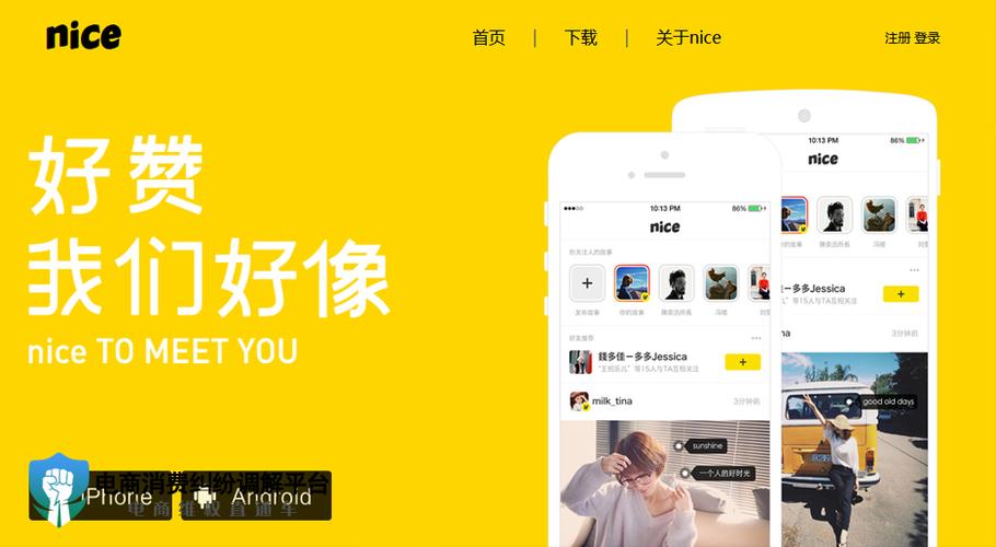 nice鉴定入口在哪里图标