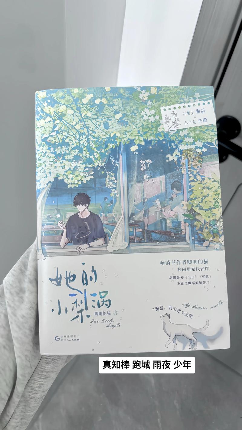 她的小梨涡 小说图标