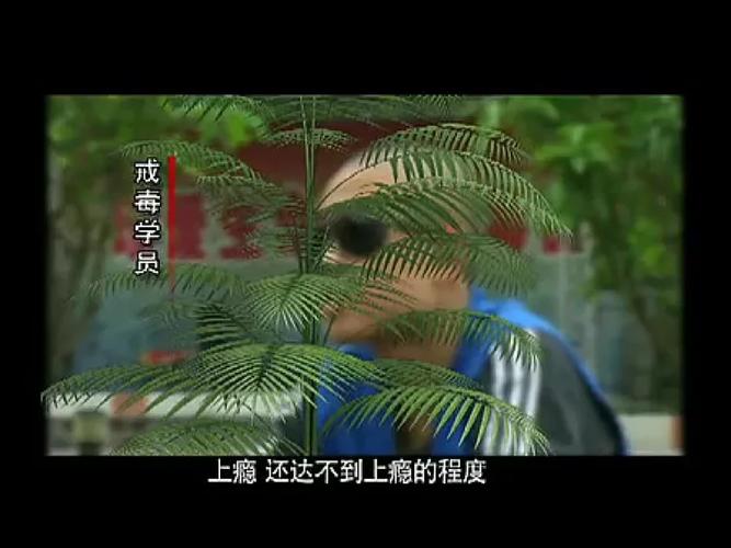 禁毒与死神共舞3答案