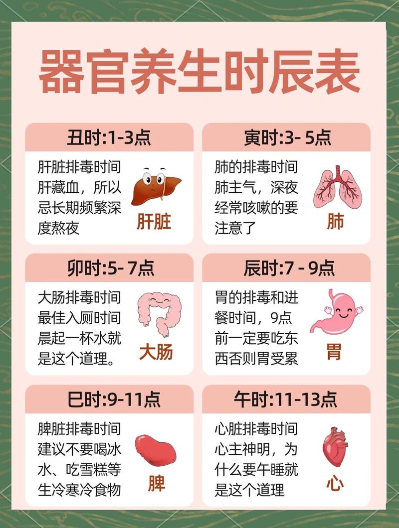 十二时辰对应五脏六腑养生表