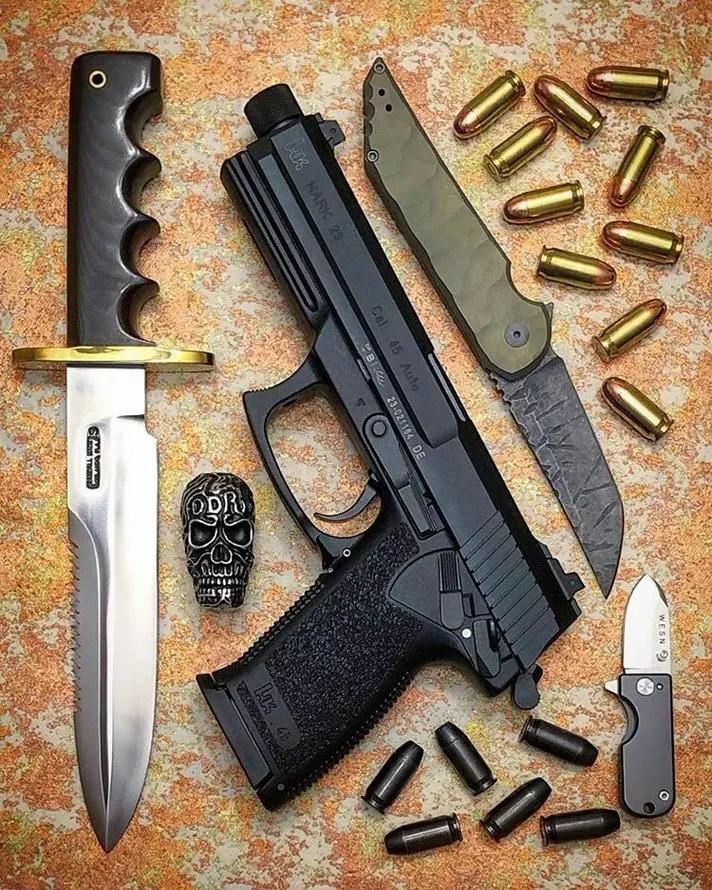 生化危机维罗妮卡全武器获得