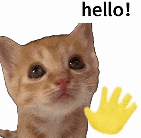 helloface